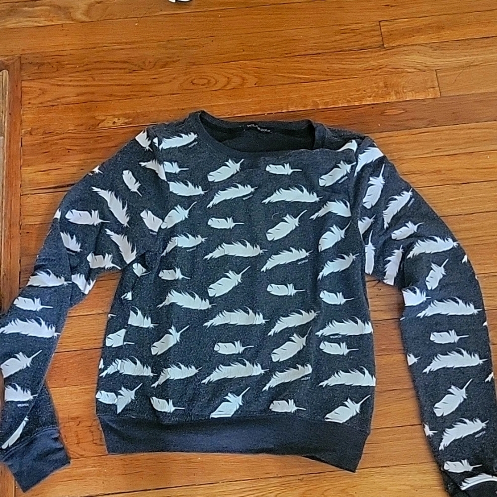 Wildfox sweatshirt